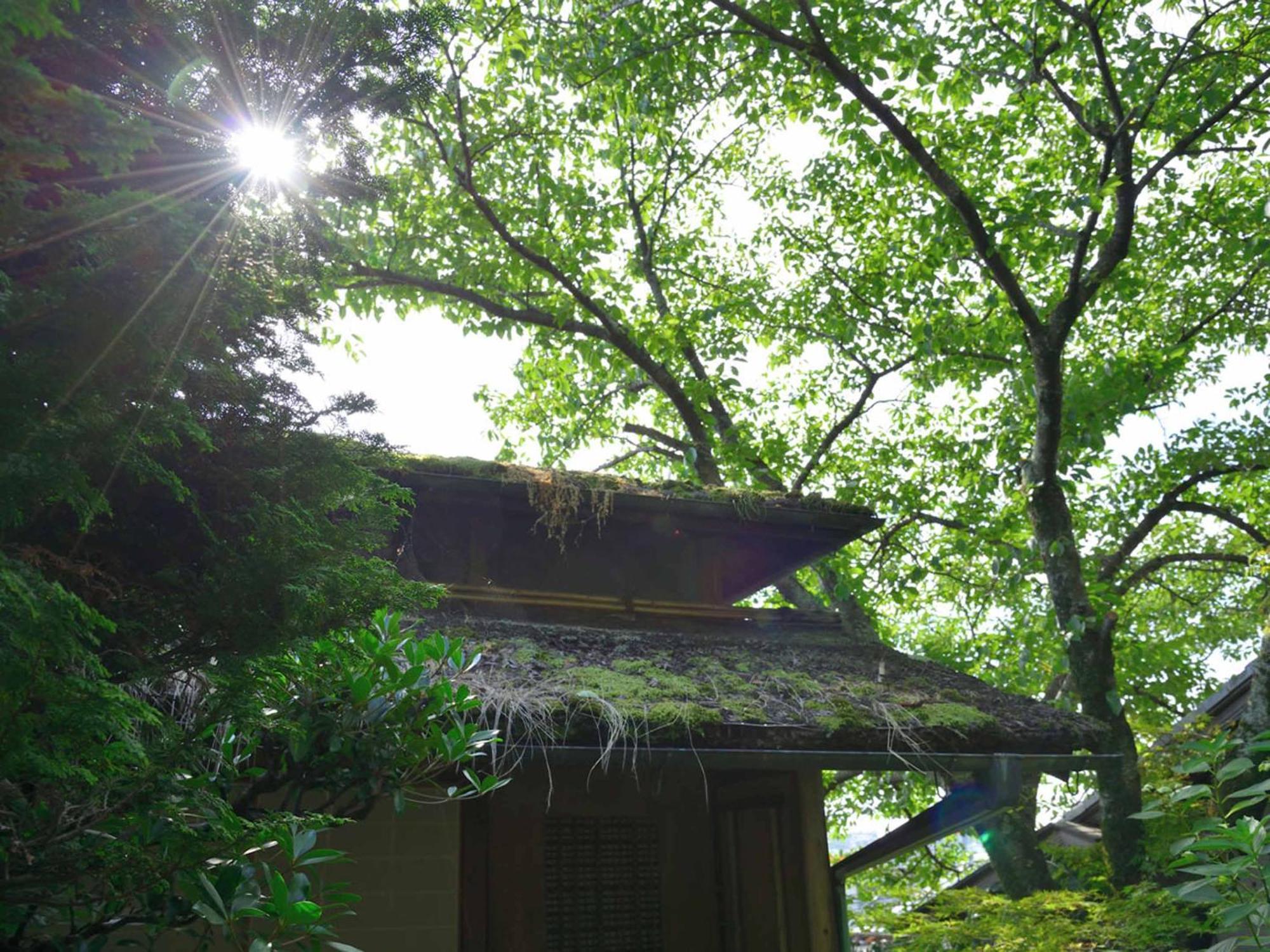 宾古雅酒店 传统日式旅馆 2*