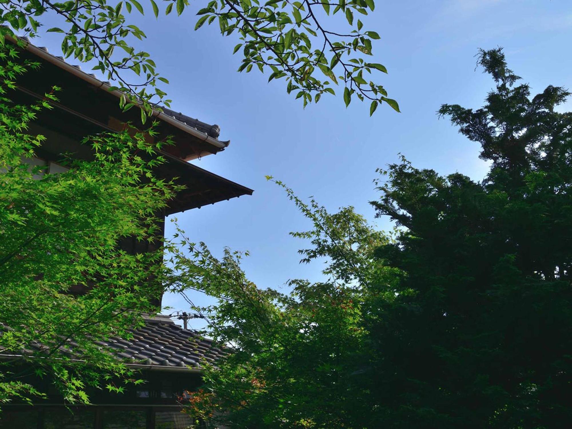 宾古雅酒店 传统日式旅馆 仓敷