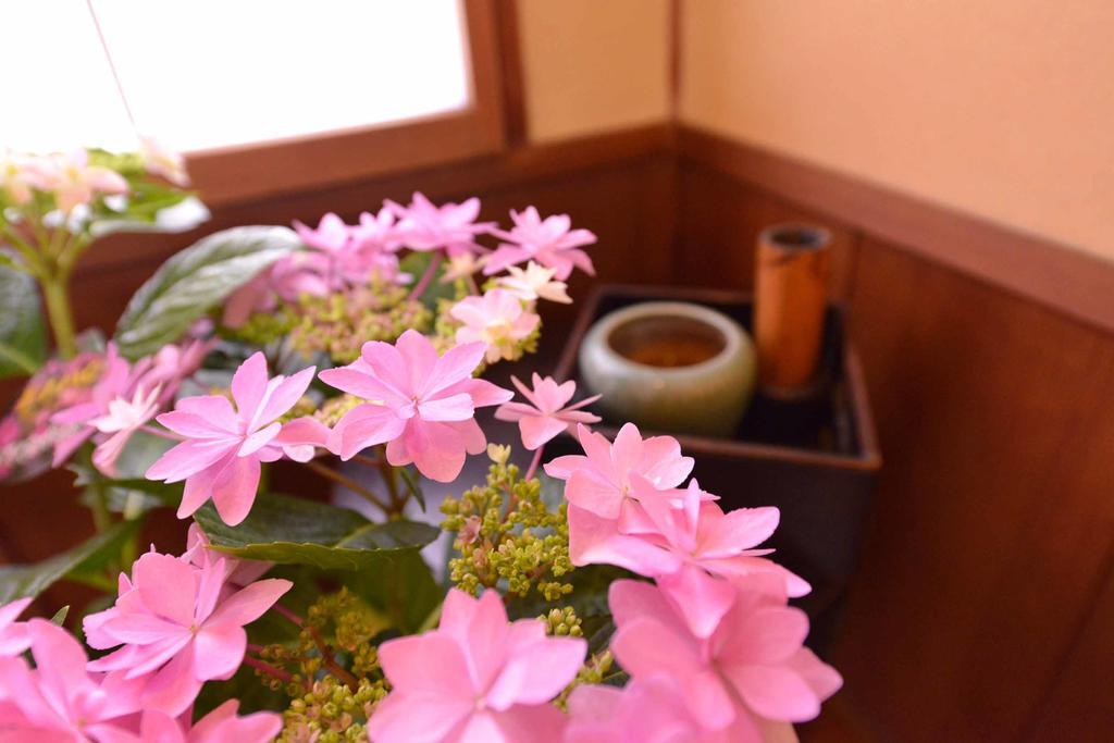 传统日式旅馆 宾古雅酒店